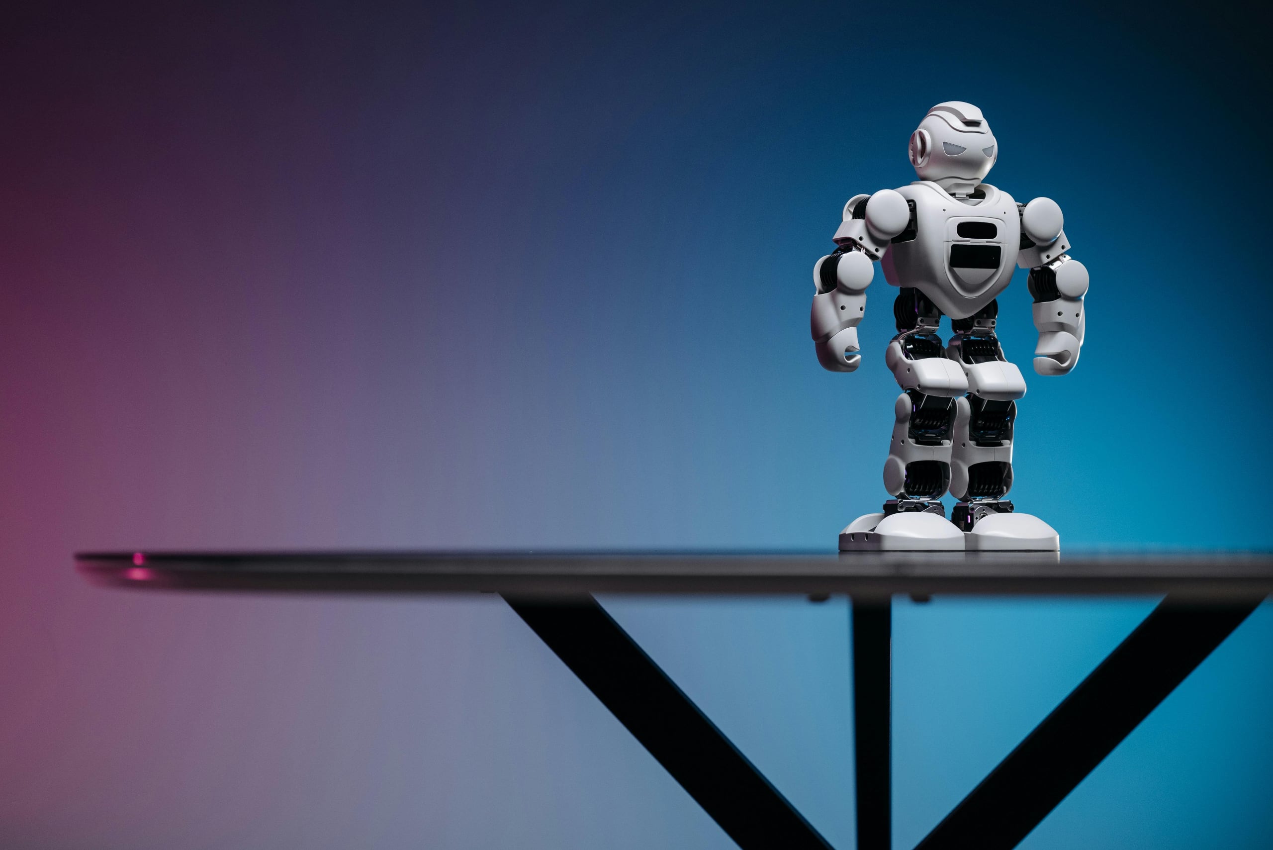 How New Zealand businesses can benefit from AI-supported tools and automation